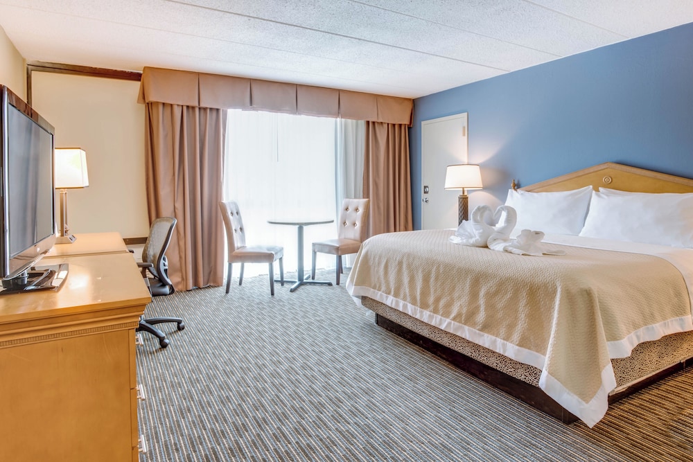 Suite, King Bed
