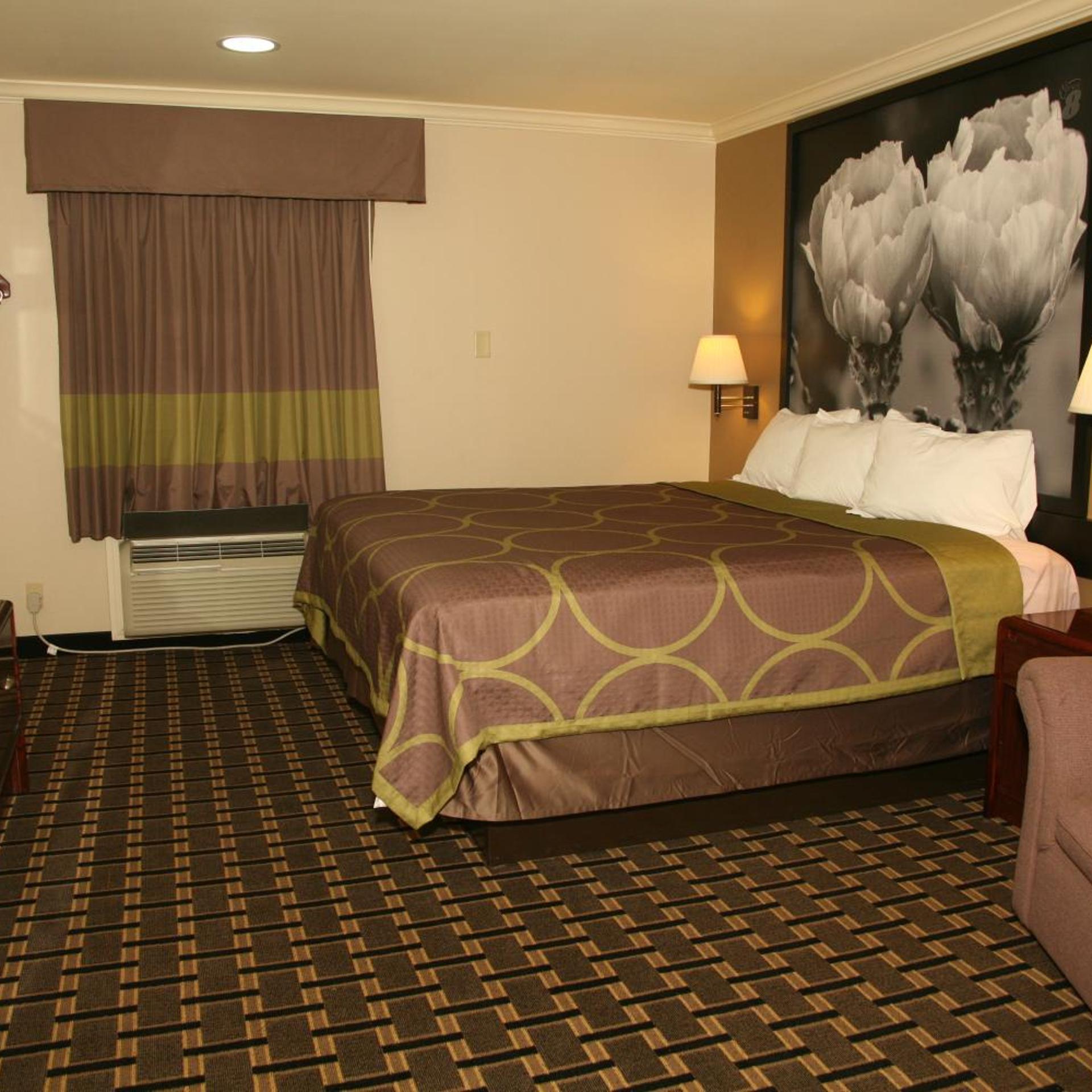 SUITE, KING BED