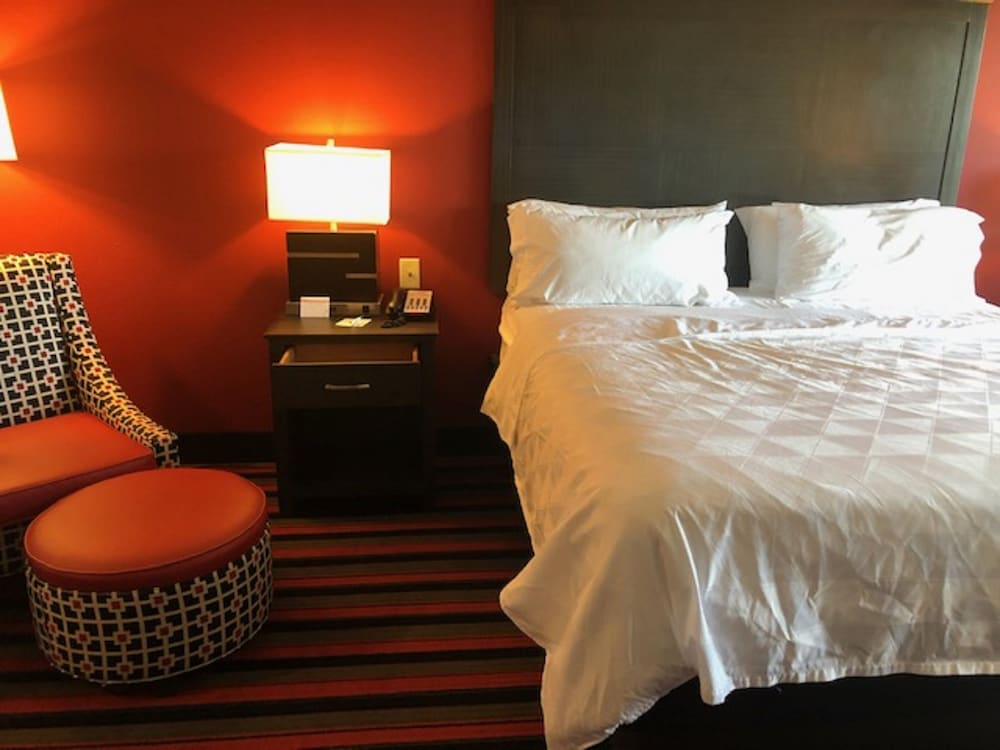 Holiday Inn Hotels And Suites Lafayette North 25/55