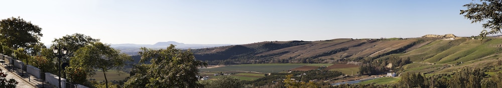 Los Olivos 54/59