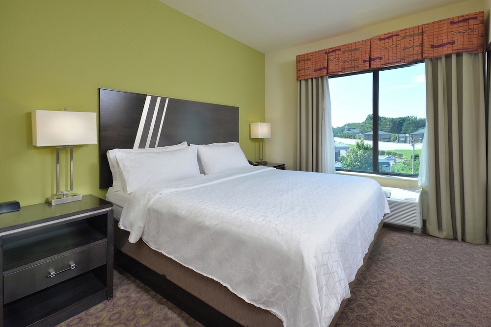 غرفة قياسية بسرير كينج لذوي الإعاقة، Holiday Inn Express & Suites Clemson - Univ Area 4/8