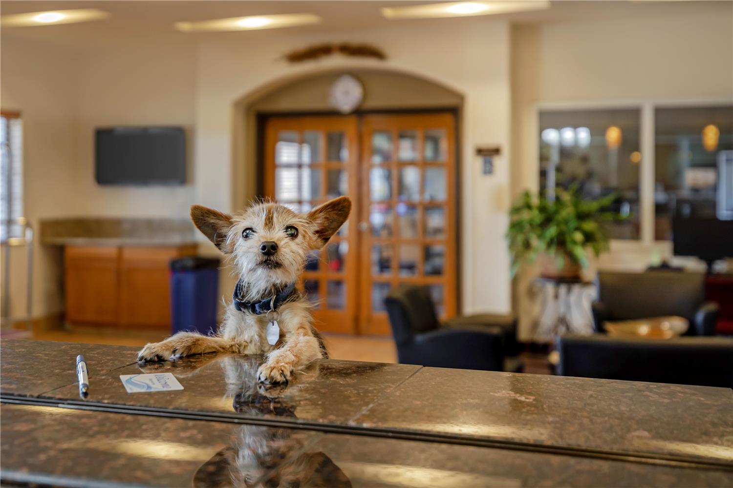 Best Western Firestone Inn & Suites 13/34