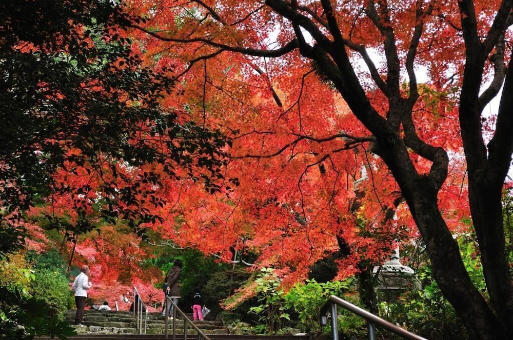 ホテルフラトン福岡博多 写真2