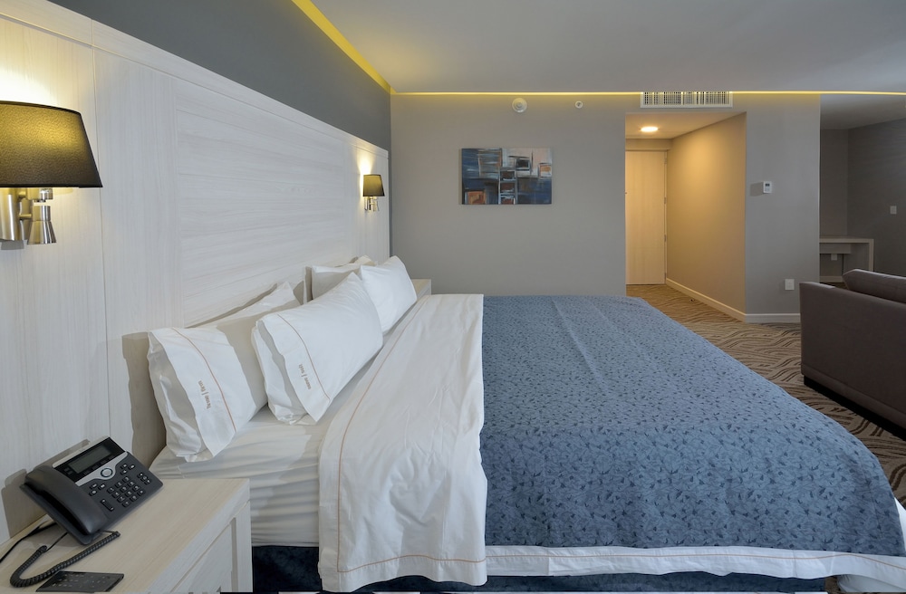 Holiday Inn Express Pachuca 10/57