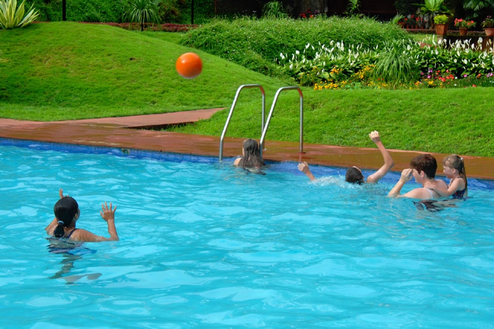 CARMELIA HAVENS 25/58