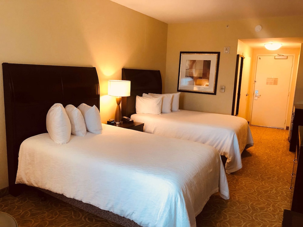 Hilton Garden Inn Miami Airport West 13/64