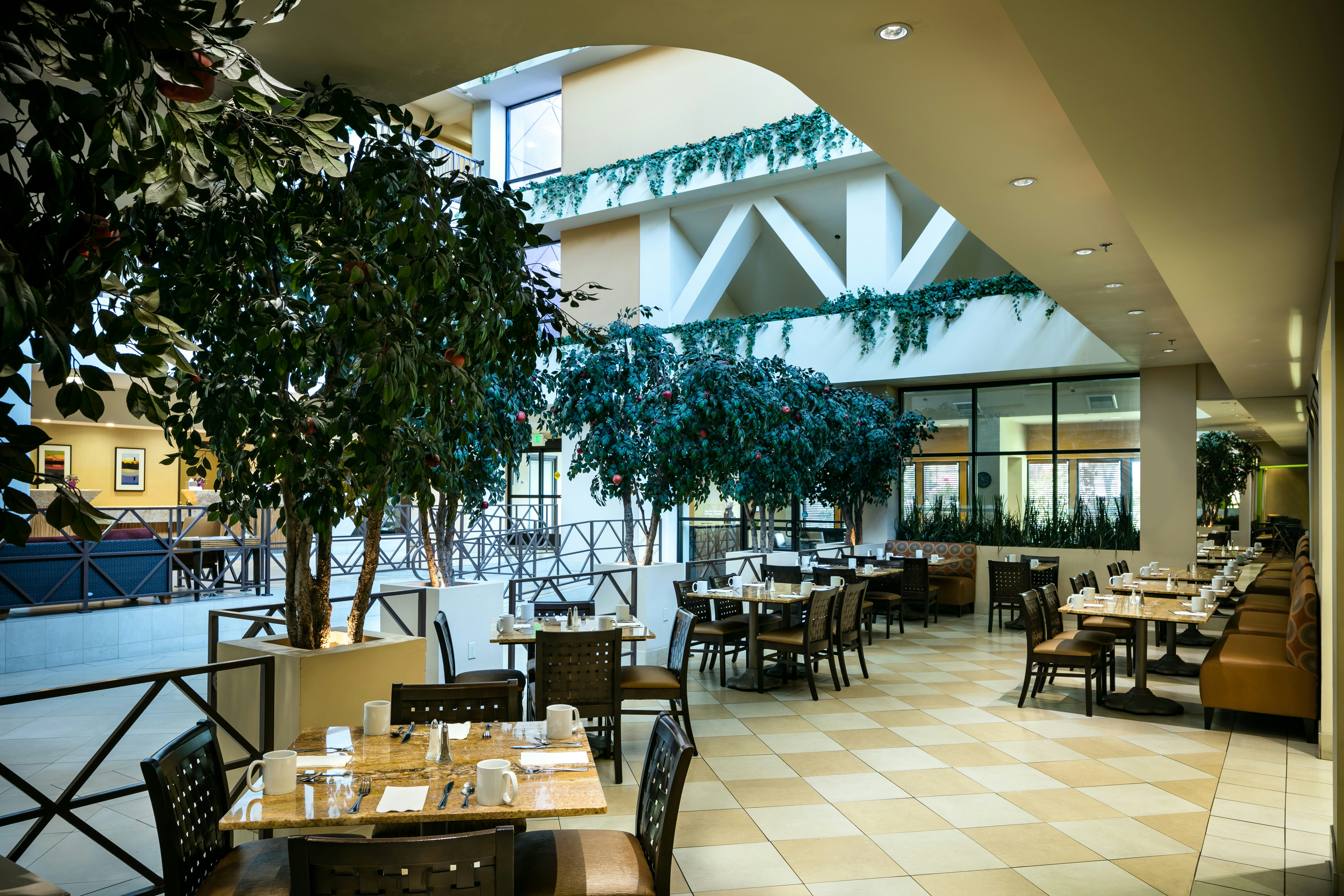 Hilton Stockton 37/51
