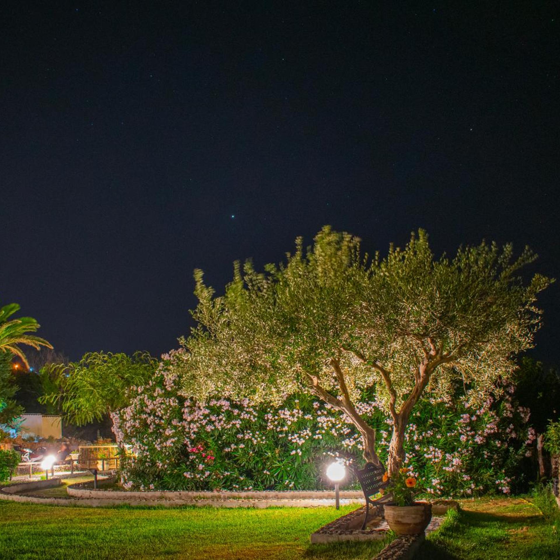 Villa Rita Hotel 38/55