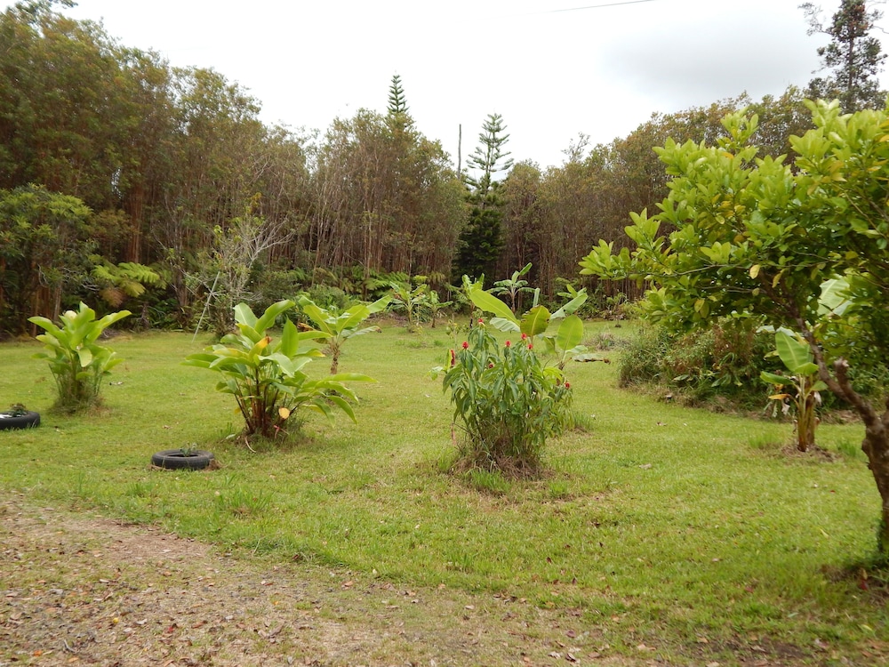 Fern Forest Getaway 34/44