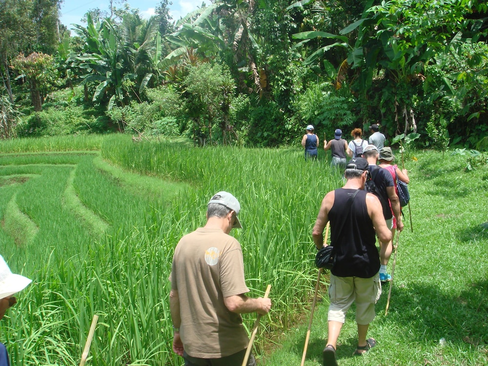 Cempaka Belimbing Villas 23/42