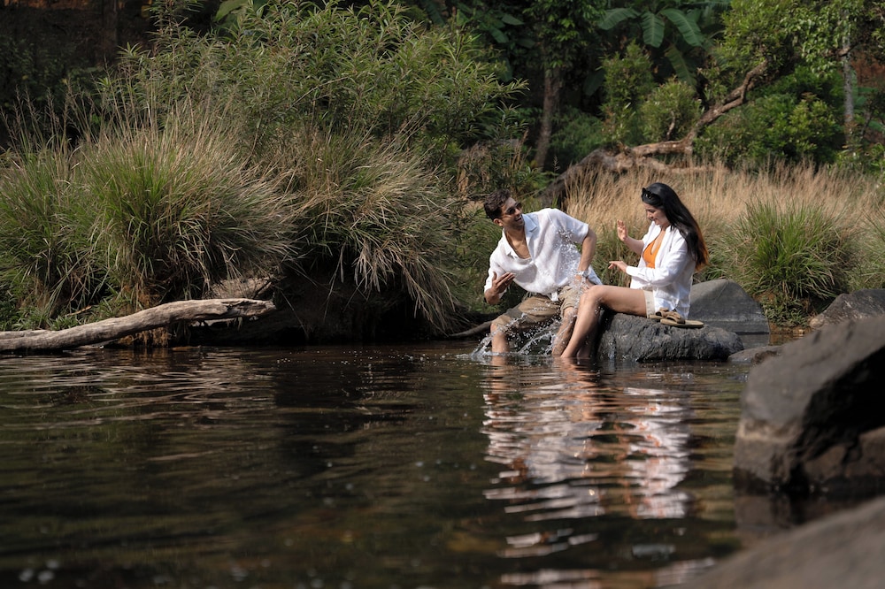 Coorg Marriott Resort & Spa 22/50