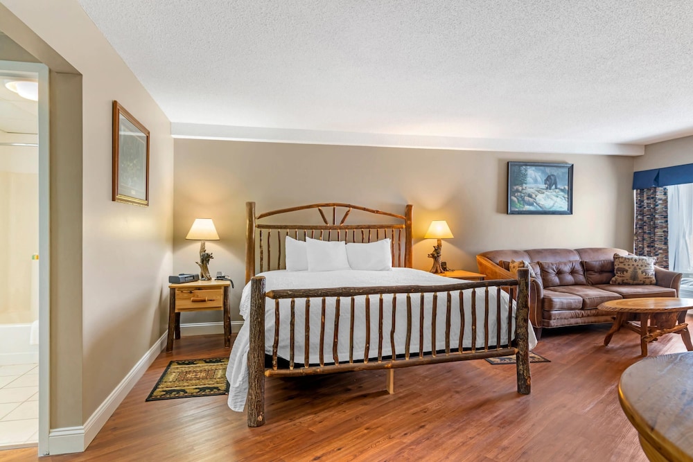 Black Bear Inn, an Ascend Collection Hotel 8/69