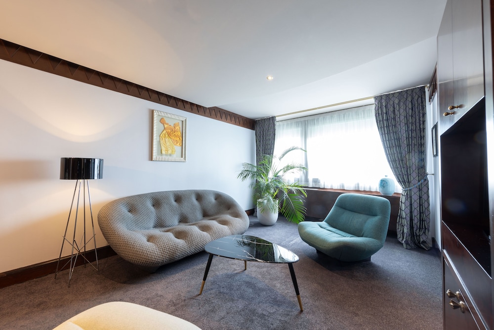 Sofitel Lyon Bellecour Hotel 54/71