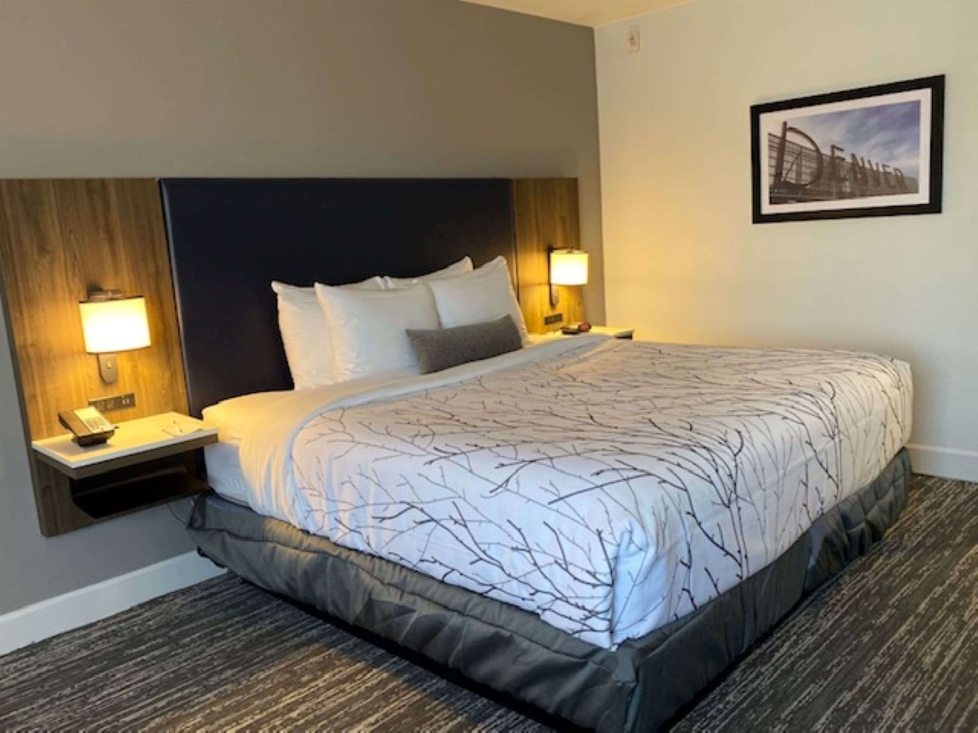 Standard, King Bed, Pool View