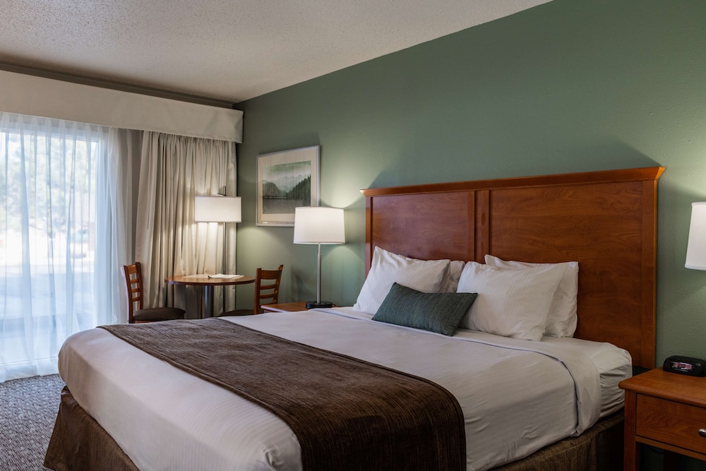 Best Western Buffalo Ridge Inn 10/33