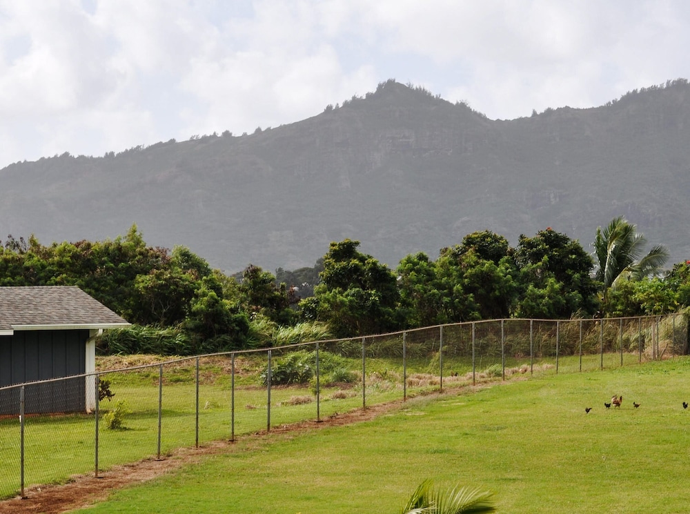 Kauai Palms Hotel 26/51