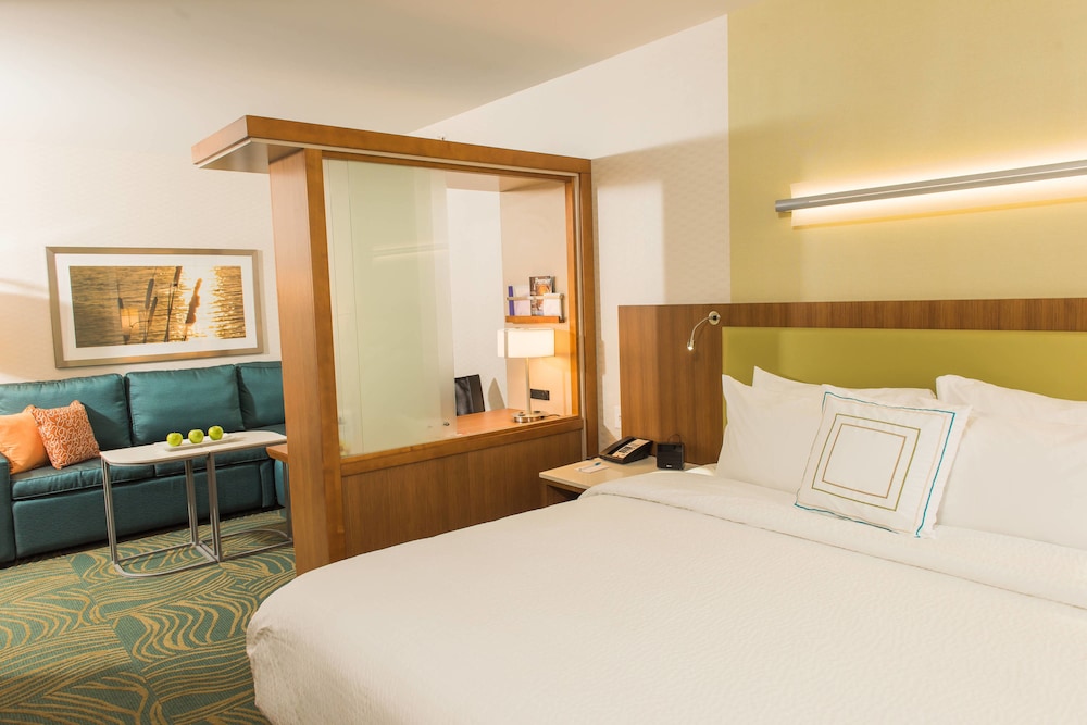 Springhill Suites Buffalo Airport 13/59