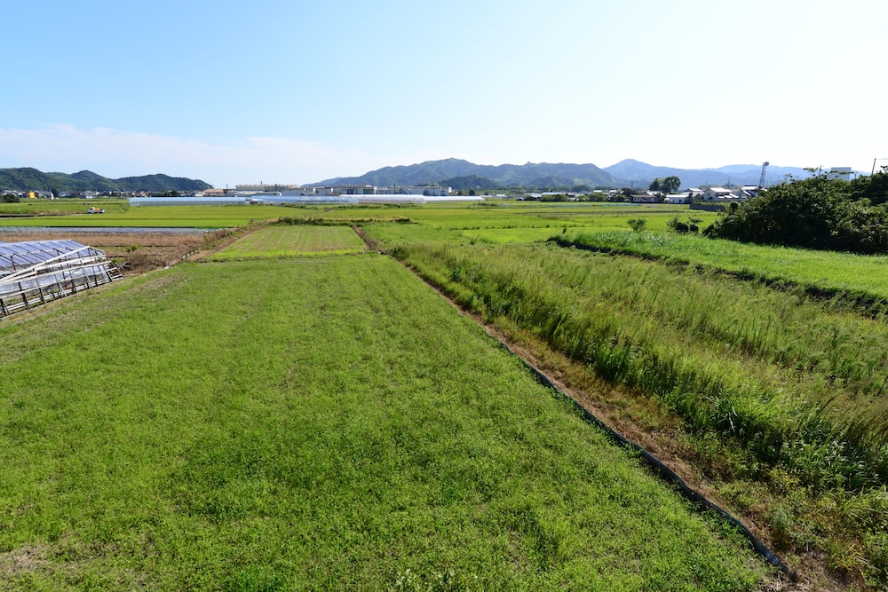 Haruno Guest House - Hostel 31/33