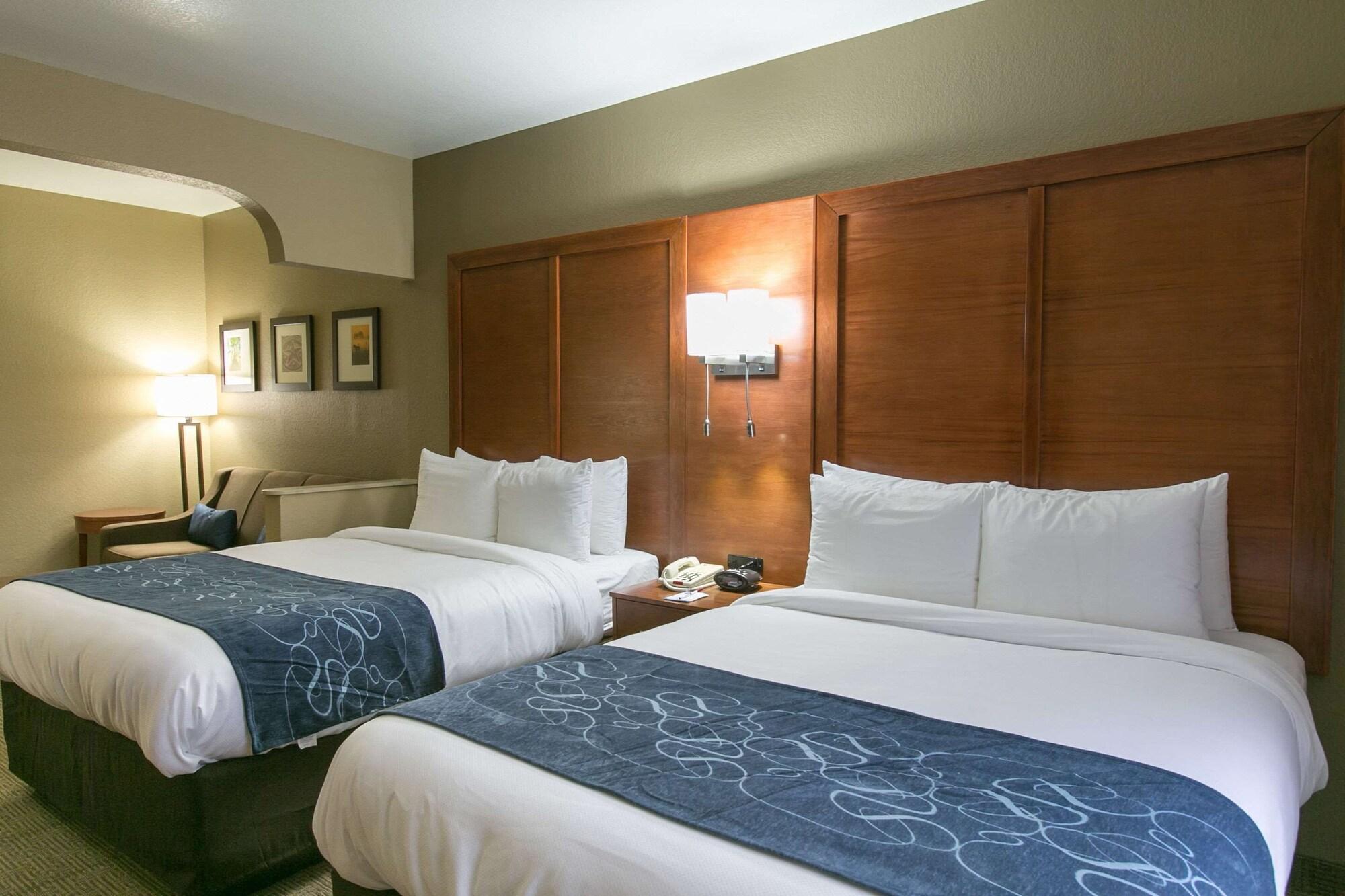 Suite, Multiple Beds, Accessible