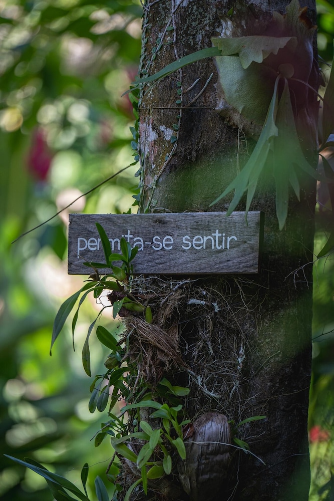 Pousada Do Bosque 35/70