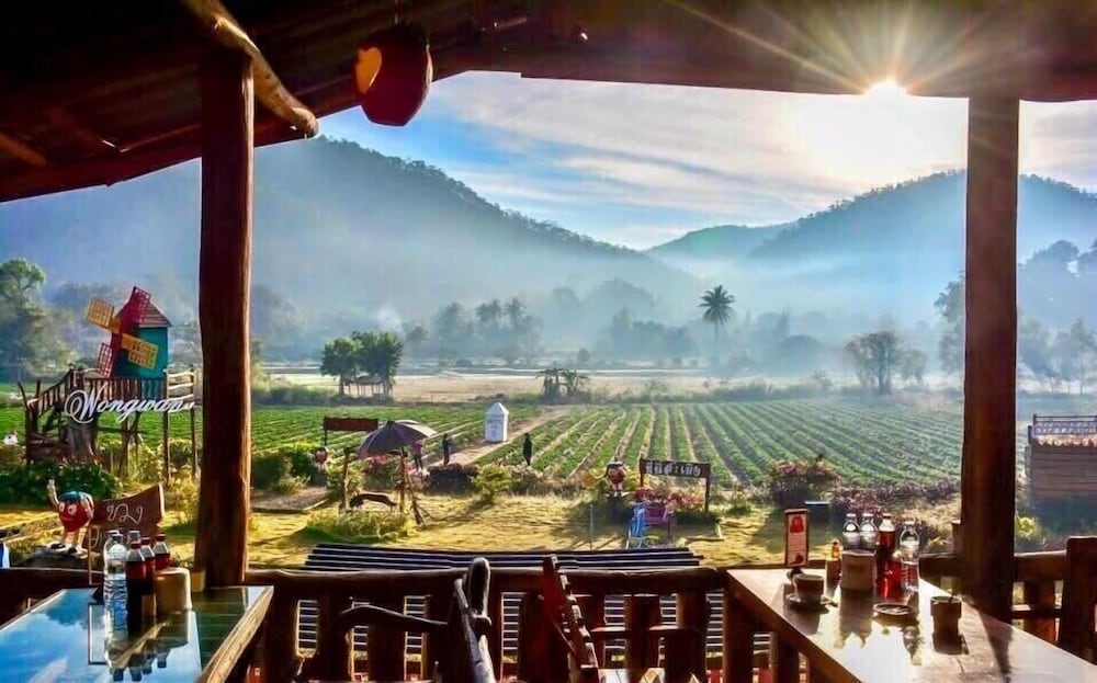 Wongwan Farm 19/28