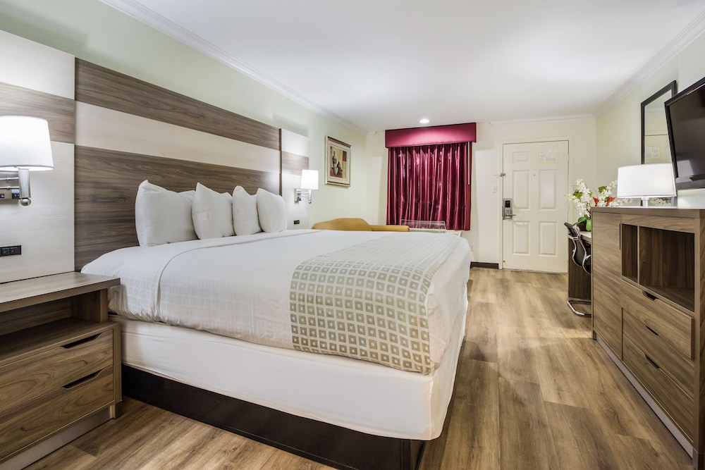 Room, King Bed