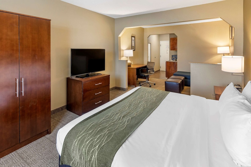 Comfort Inn and Suites Lincoln AL 13/61