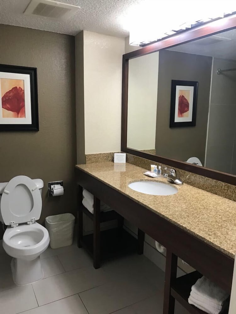 Comfort Suites Northside Hospital Gwinnett 42/47