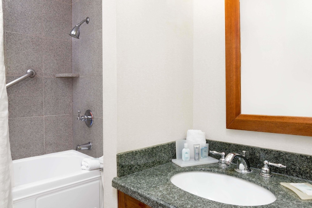Wyndham Garden Baronne Plaza New Orleans 18/59