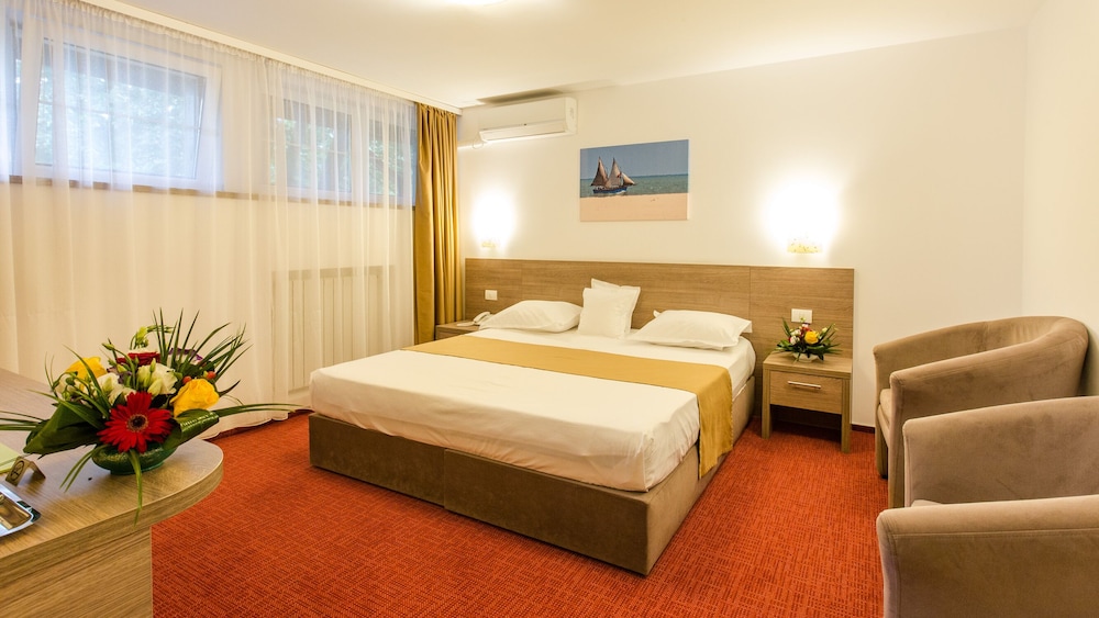 Herastrau Hotel 13/47
