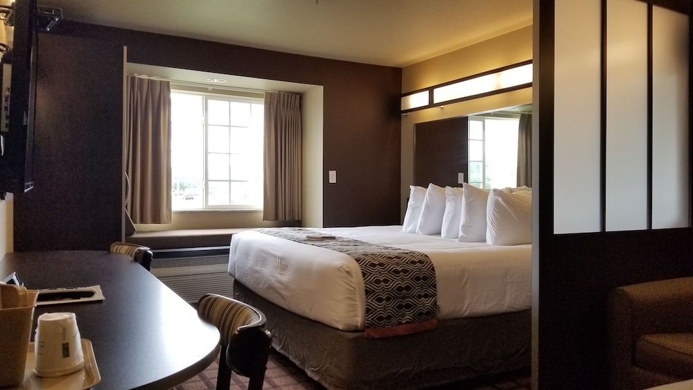 Microtel Inn And Suites Conway 14/35