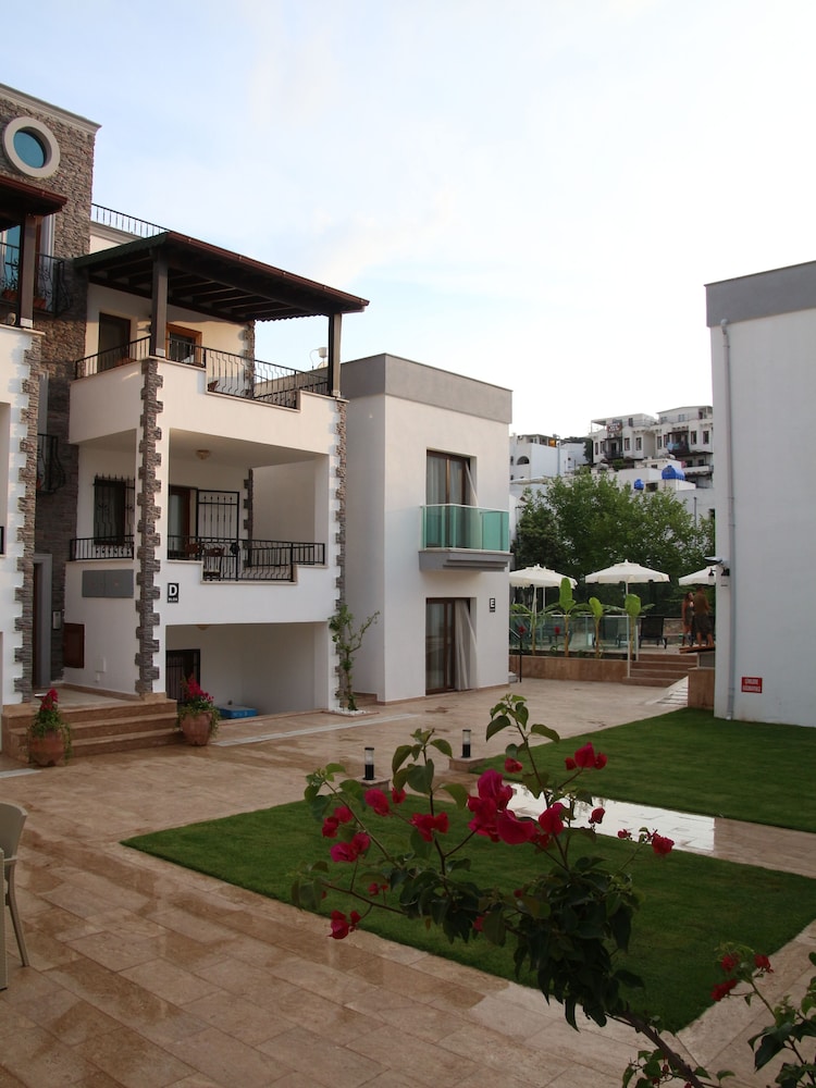 Orya Apart 35/50