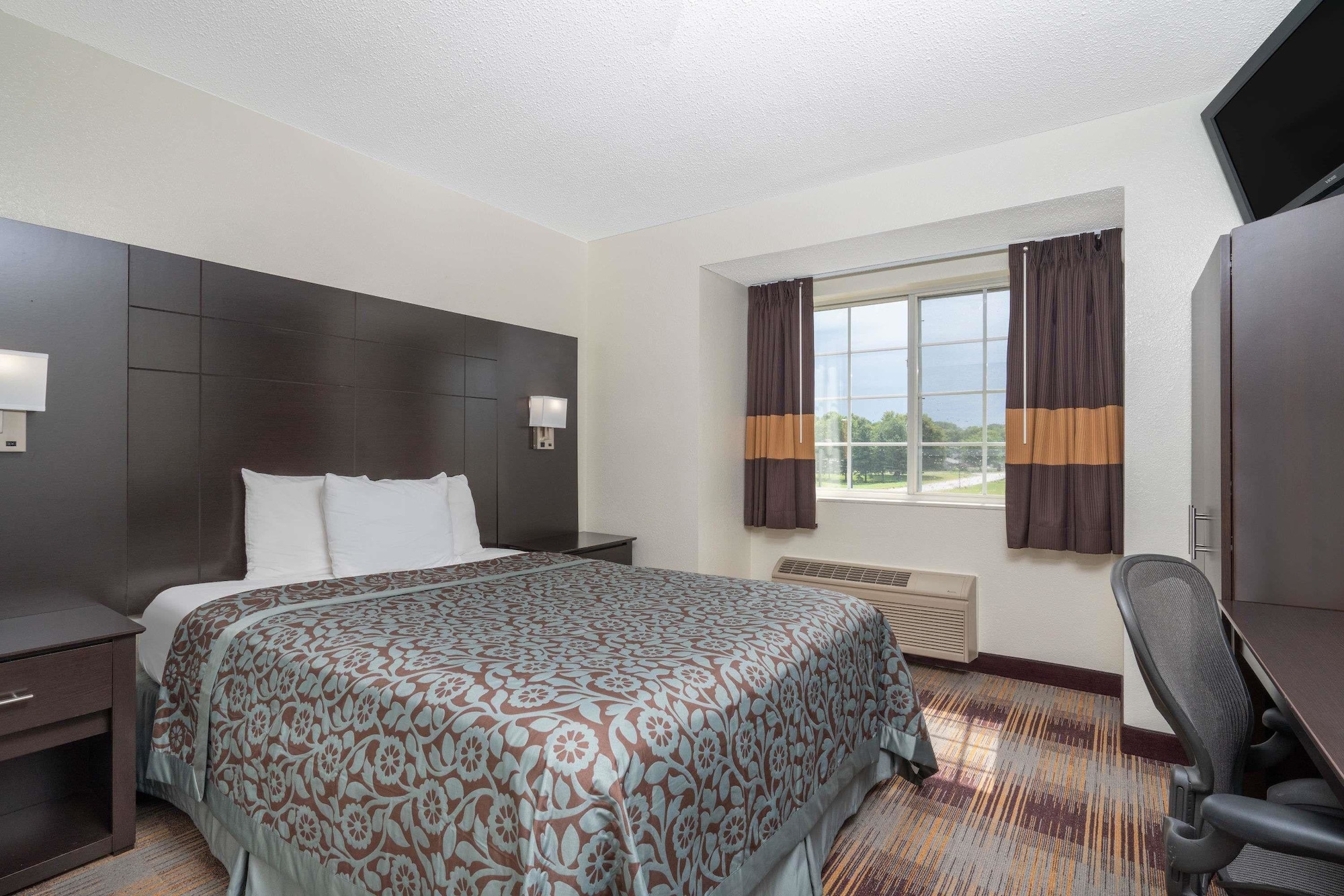 Suite, Queen Bed