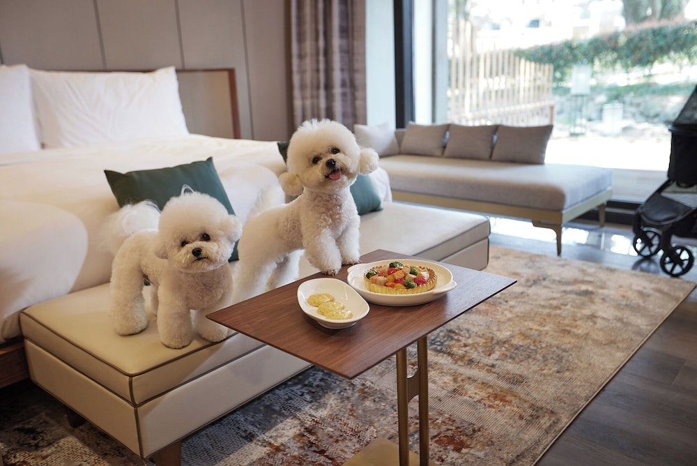 Amber Purehill Hotels & Resorts Jeju 45/50