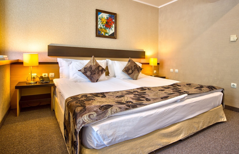 Velingrad Grand Hotel 14/50