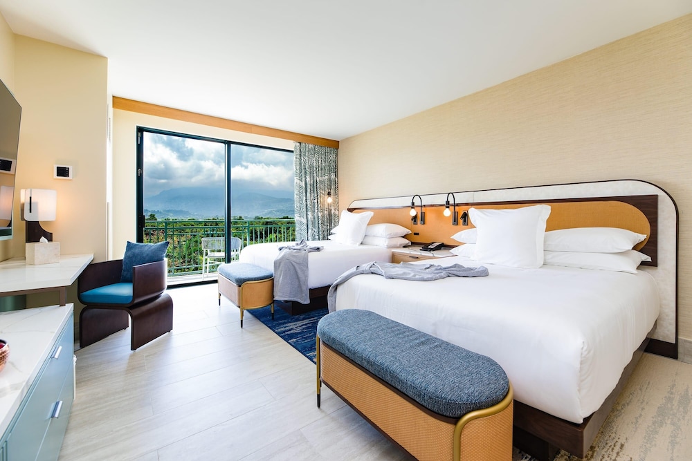 Renovated, Rainforest, 2 Queen Beds