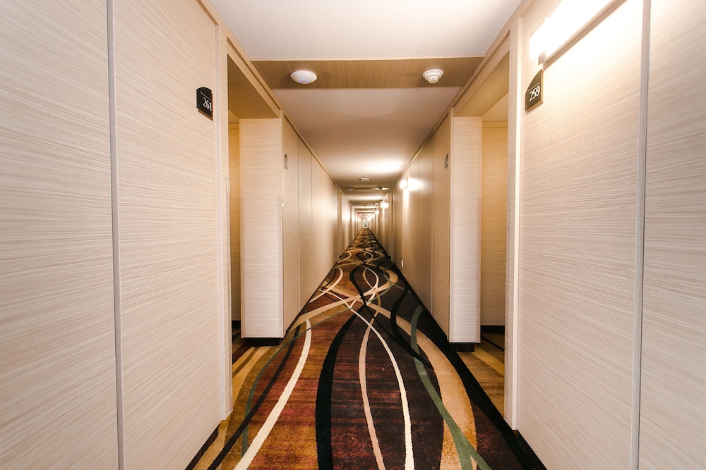 Ocean Beach Club Hotel photo4