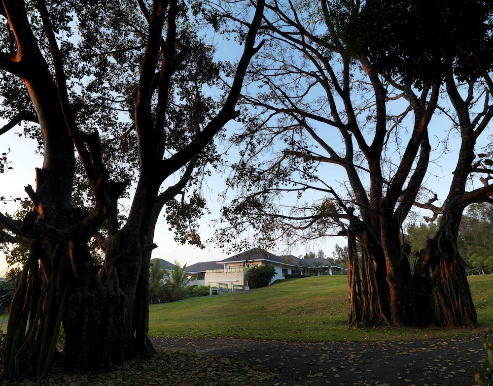 The Serai Chikmagalur 31/45