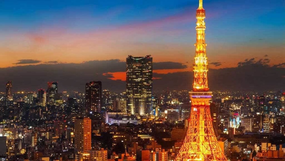 Day Nice Hotel Tokyo 36/43