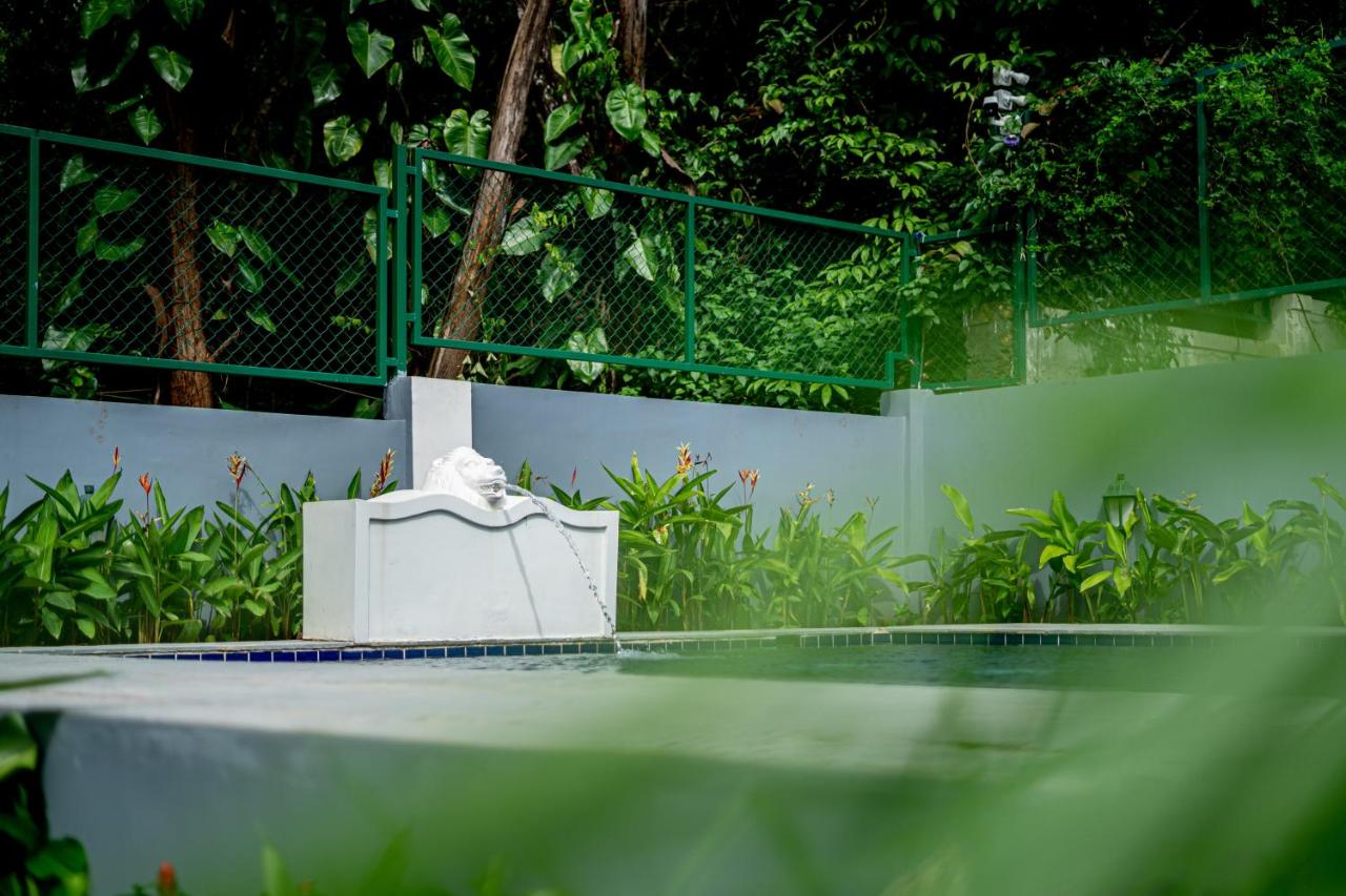 ELIVAAS BluDoor 5BHK Villa, Assagao 58/65