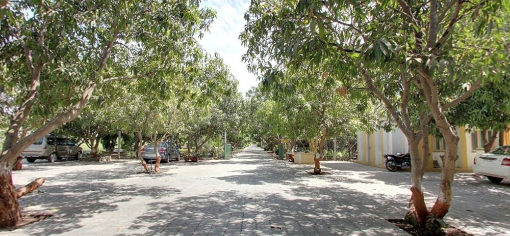 Gir Jungle Lodge 8/38
