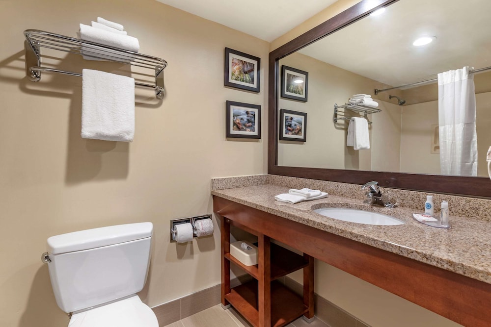 Comfort Inn & Suites Morehead 12/28
