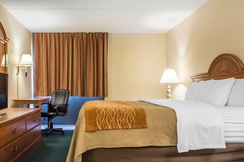 Comfort Inn Binghamton 16/35