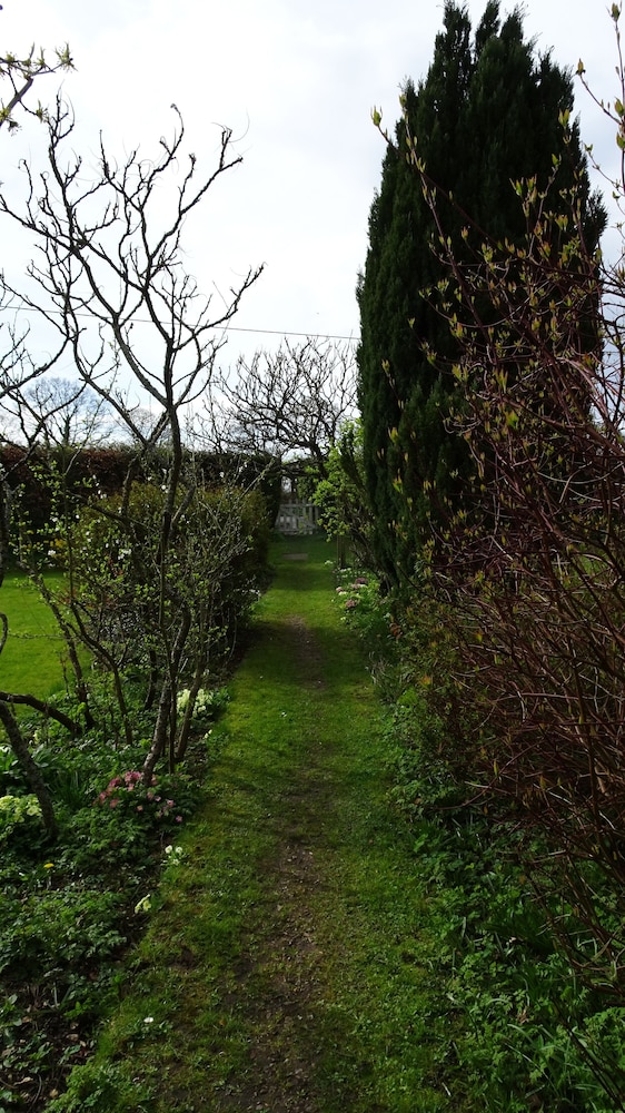 The Furze Bush Inn 24/33