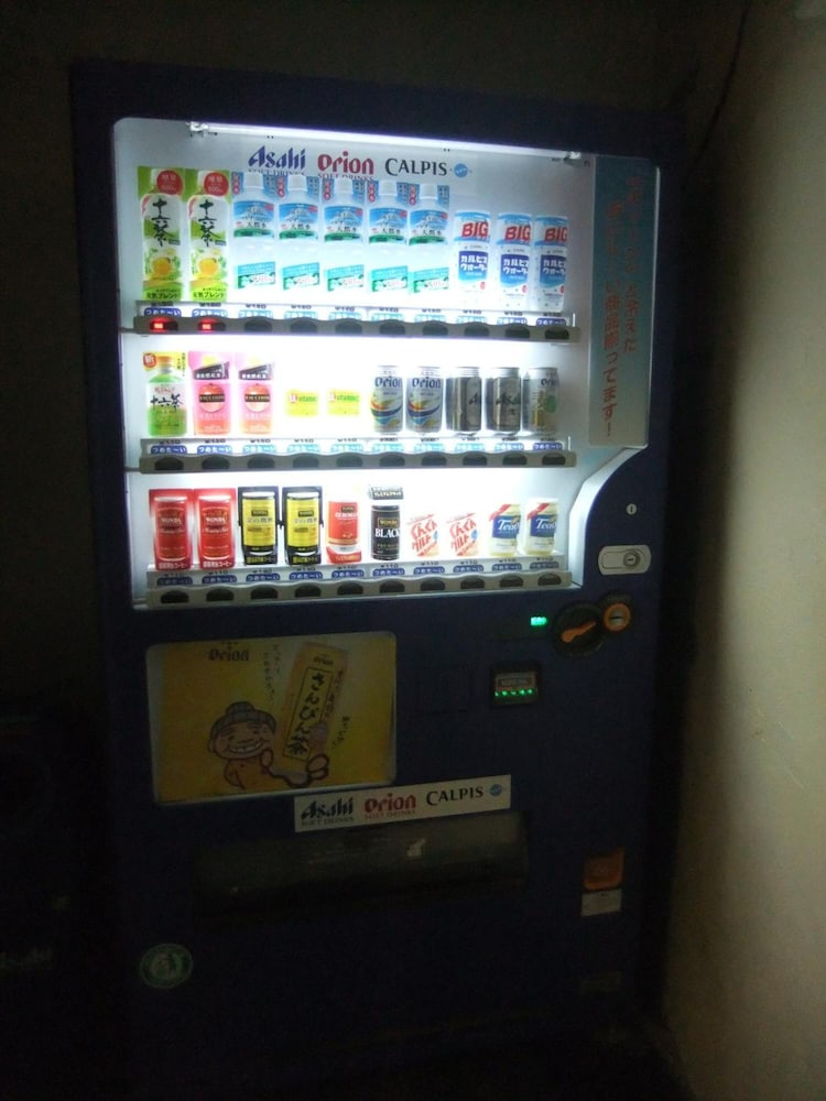 Enagic Okinawa Kokusai广场酒店(Enagic Okinawa Kokusai Plaza Hotel) 图片2