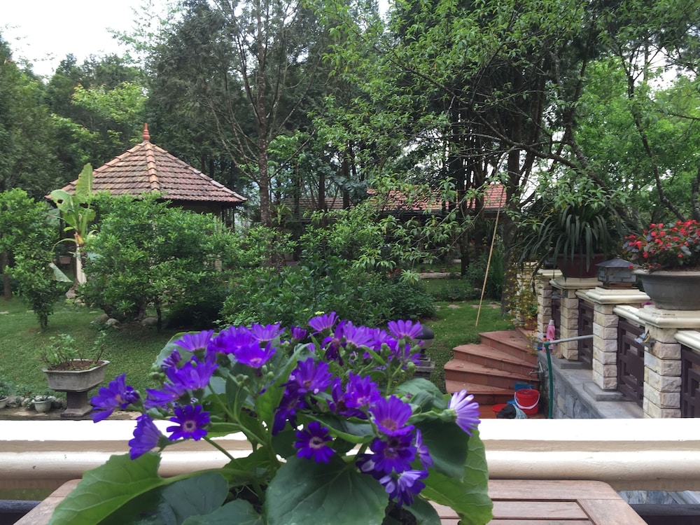 Sapa Garden Bed and Breakfast 71/73