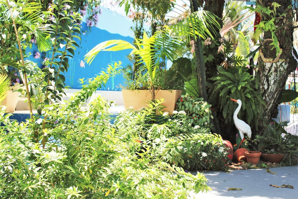 Porto Bahia Hotel 43/50