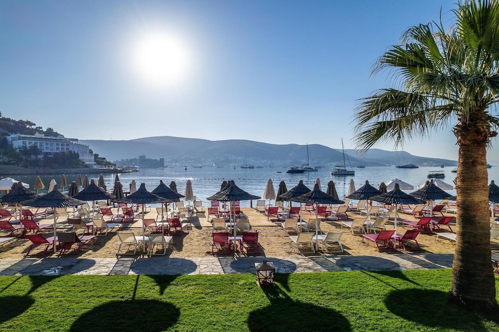 Agaya Bodrum - Adult Only 51/61