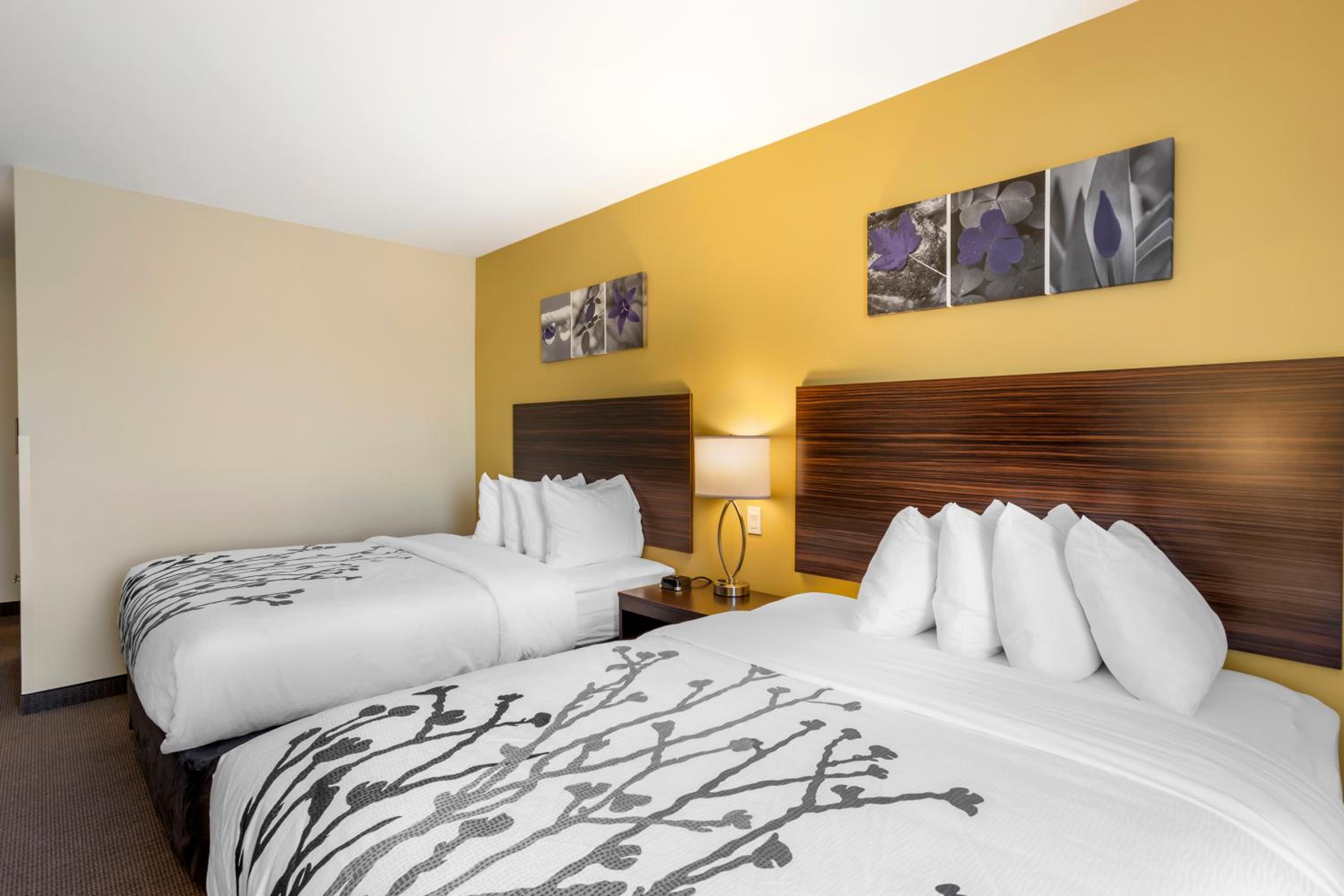 Room, Quadruple, 2 Queen Beds