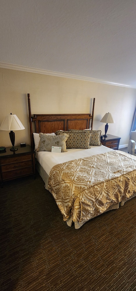 Chelsea Motor Inn 28/62